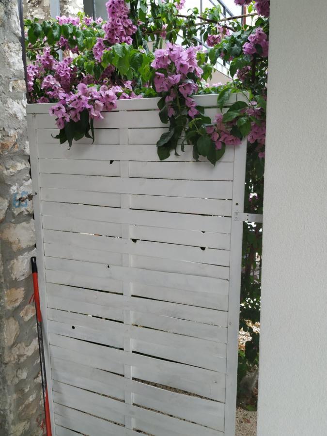 Studio Apartman Violeta II - 50M From The Beach Τρογκίρ Εξωτερικό φωτογραφία